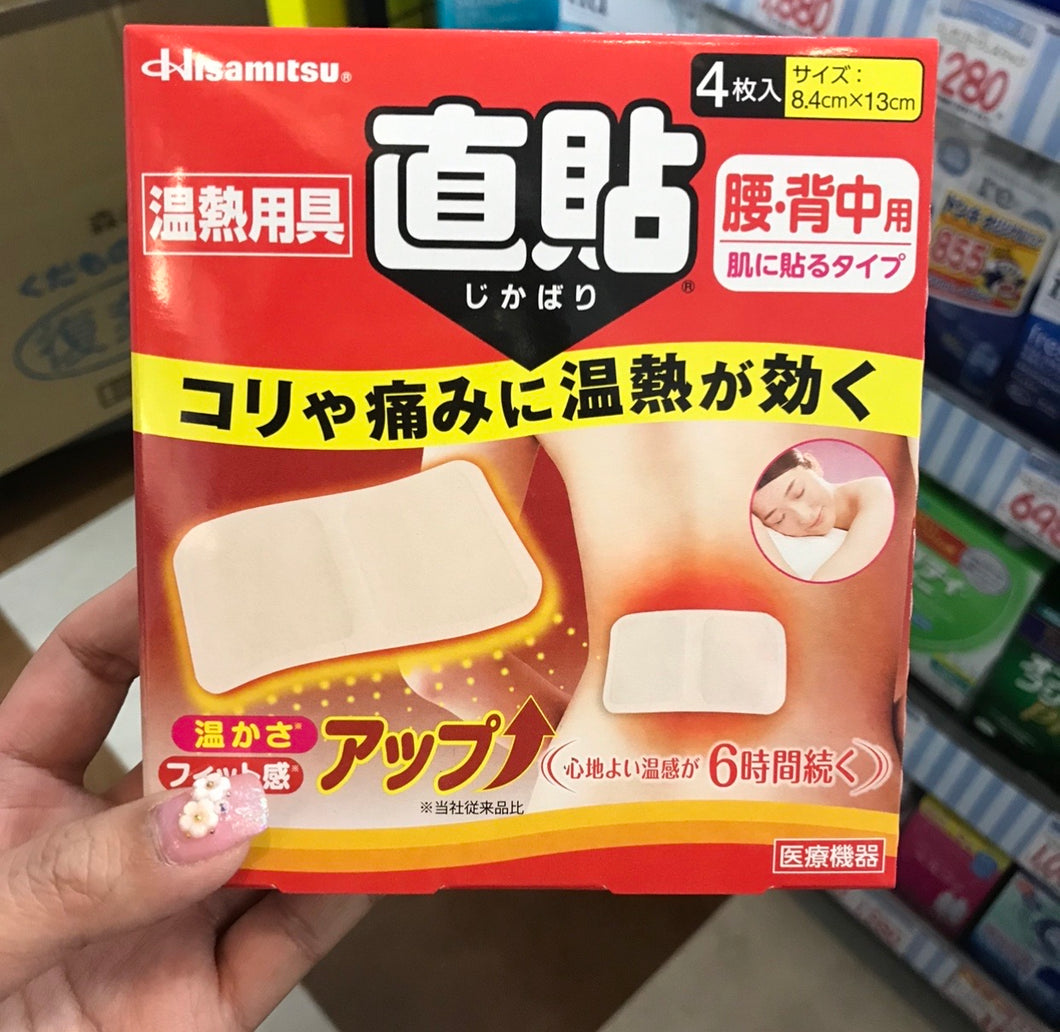 Hisamitsu Pain Relief Patch